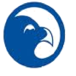 The Blue Hawk Corporation