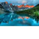 Feroo_Basha Group