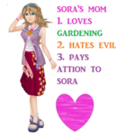 kingdom hearts forever
