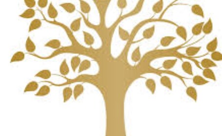 Donation place!