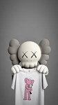 Kaws123454