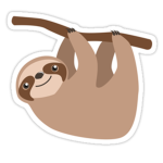 #Team Sloth!