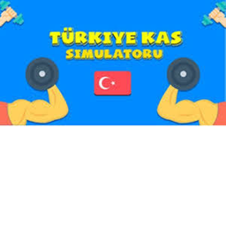 Kas çalışma simulator