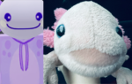 Pet pinky and moony