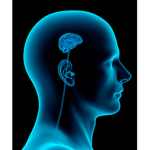 little brain people who joined a pointless group