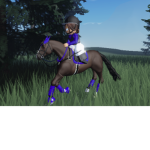 -PONY CLUB-