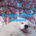Yeeeeeeeee groups