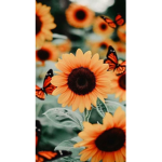 xx sunny sunflowerrs xx