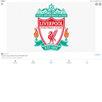 The best Liverpool clan