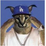 The Big Flops