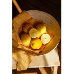- lemonex -