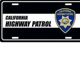 the california riots