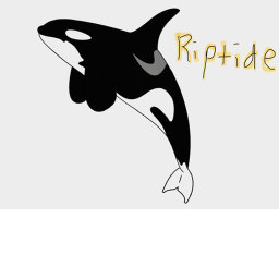 .*Riptide Aquatic’s Meeting building*.