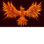 PhoenixBoyGaming fan group