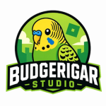 Budgerigar Studio