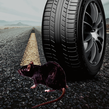 The Tire Store