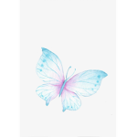 The Butterfly effect Studios