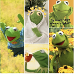 KERMIT CLOWN NUGGETS