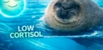 Good Seal