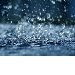 Rainy Day. (SHOWCASE)