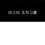 마스터 조직