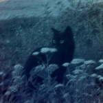 jebby!