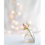 Pretty designs