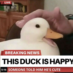 𝕤𝕠