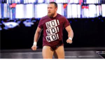 daniel bryan fans