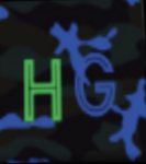 Hg Company