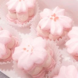 ・ ┆ʚ ♡ɞ ┆ ・