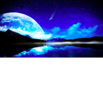 Moonlight's Social Group