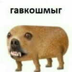 92928483