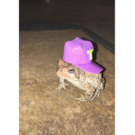 :P fřıënđs äñď fåmıĺy