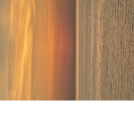 Zaw Studios