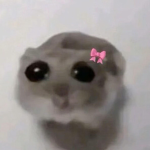 LenaTheCow