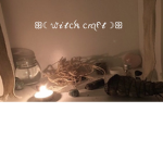 .* Warrior Cats Fan Club *.