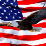 Patriotic Games Official