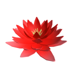 Red Flower