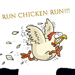 RUN CHICKEN RUN