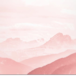 Aesthetic Allison clothing