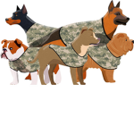 Haiden's Army