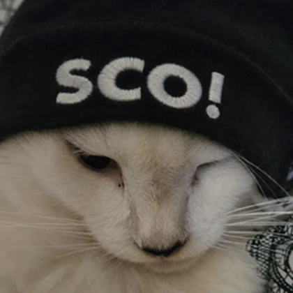 SCO! Roblox group icon