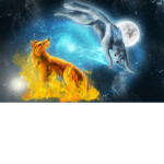 WOLV Z