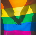 LGBTQ + =)