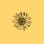 Sunflower....clothes