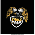 THE EAGLE SWAT TEAM