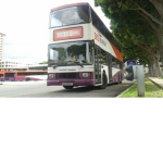 Bus Enthusiast