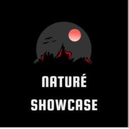 Naturé Showcase