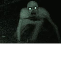 scp life